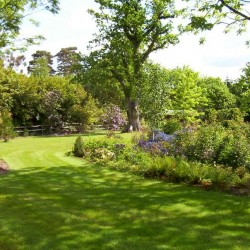 Large Garden Large Garden