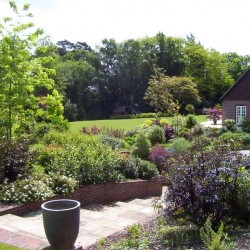 Steps & Planting Steps & Planting