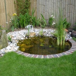 Small Pond Small Pond