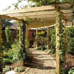 Riseley Pergola-a Riseley Pergola-a