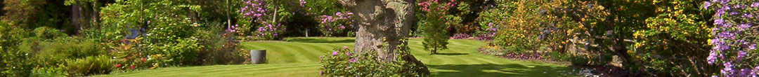 banner1