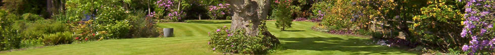 Traditional Garden