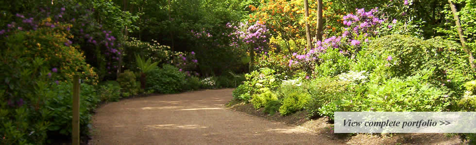 Driveway Planting Driveway Planting