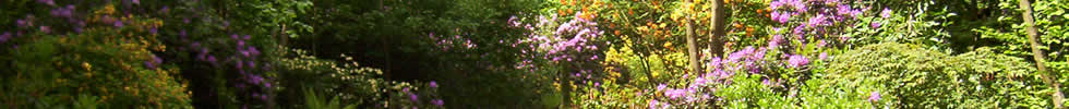 Planting