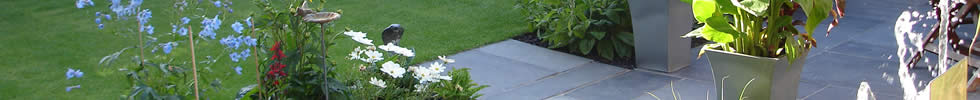Contemporary Garden