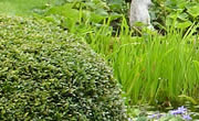 Jobs for the garden in March & April