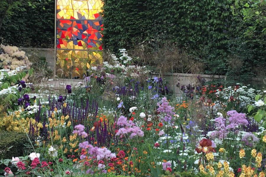 Matthew Wilson’s show garden, Chelsea 2016