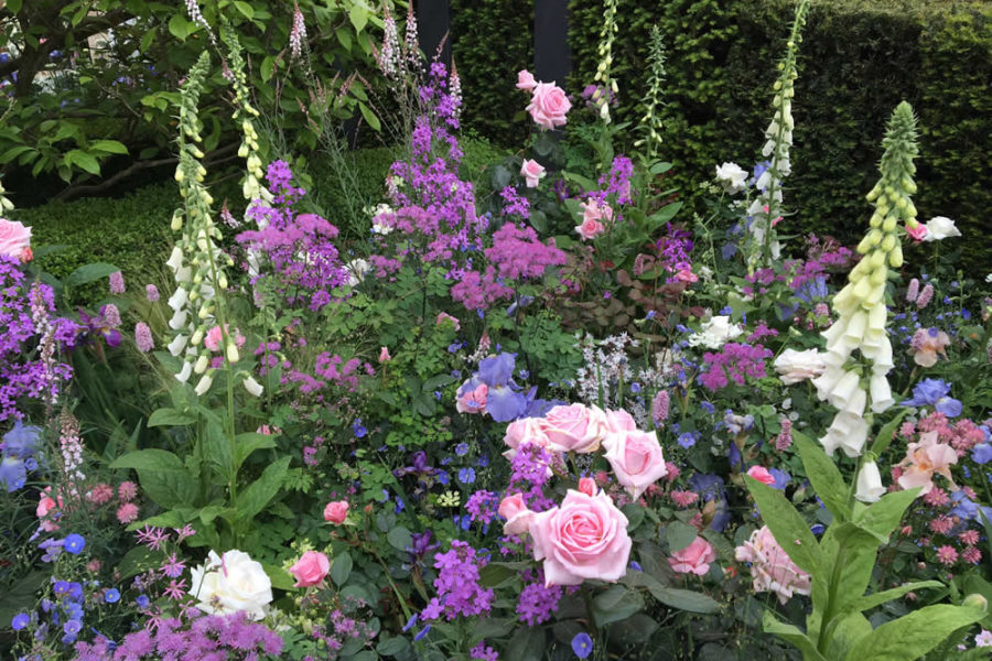 Roses in Hay Joung Hwang's ‘The L.G. Smart Garden’