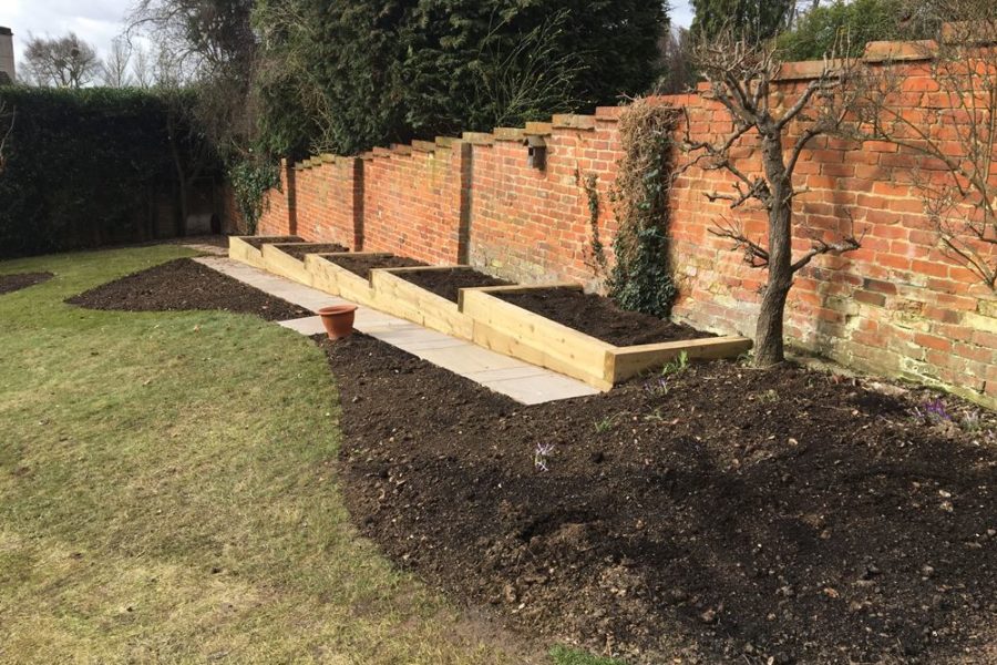 The view of the raised beds from the house looking down to the bottom of the garden.