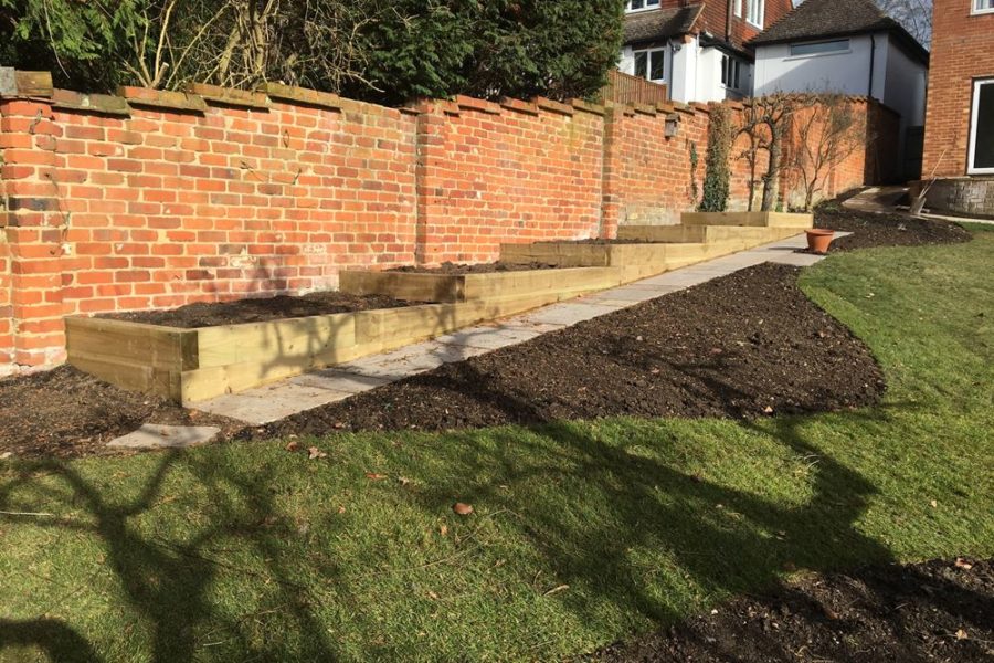 The view of the raised beds looking up to the house showing the steepness of the ground.